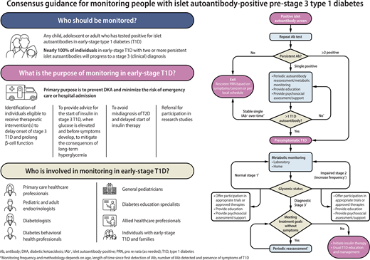 Consensus Guidance for Monitoring Individuals With Islet Autoantibody–Positive Pre-Stage 3 Type 1 Diabetes 