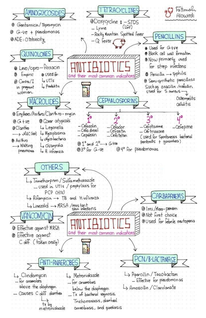 Antibiotics and Their Most Common Uses