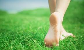 Ground Yourself to Heal: How Walking Barefoot on Grass Reduces Pain and Inflammation!