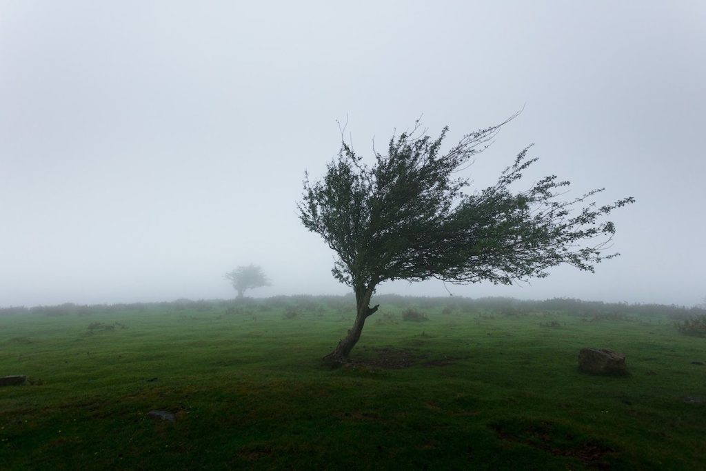 Confidence: Holding Your Seat Through Life’s Eight Worldly Winds