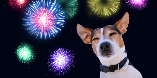 Fourth of July Fireworks: Are They Triggering Your Anxiety?