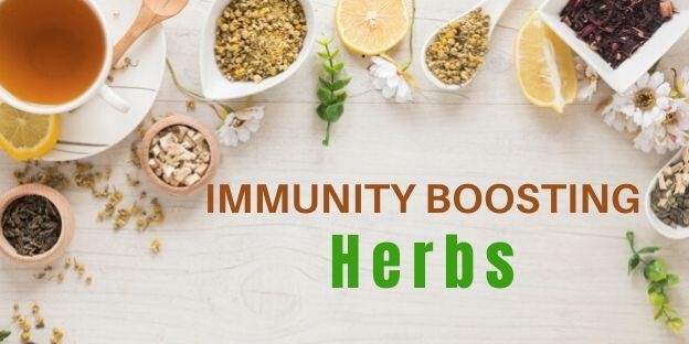 11 Of The Best Immune-Boosting Herbs That You’ve Never Heard Of